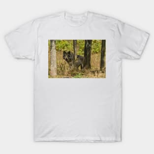 Grey Wolf T-Shirt